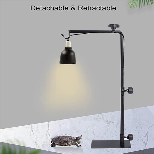 Adjustable tortoise table - tortoise,