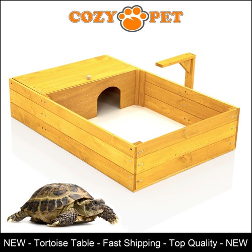 Tortoise table cozy pet - tortoise,