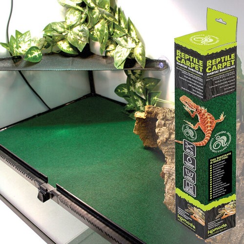 Vivarium reptile carpet komodo - reptile,