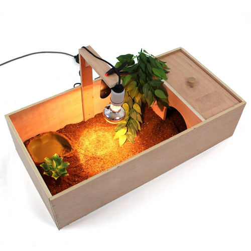 Tortoise table small - tortoise,