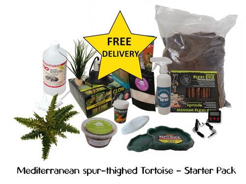 Greek tortoise starter - greek, –