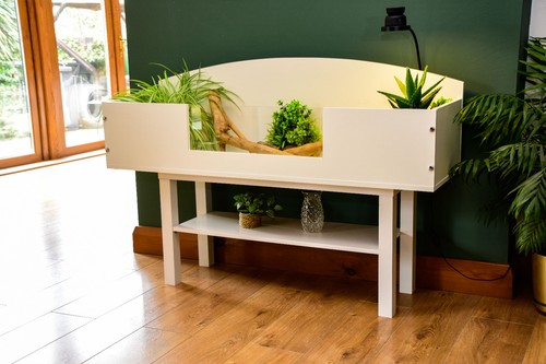 4ft open top - top, tortoise