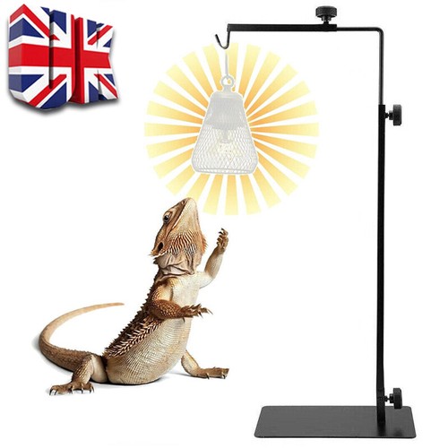 Tortoise table light - tortoise, stand
