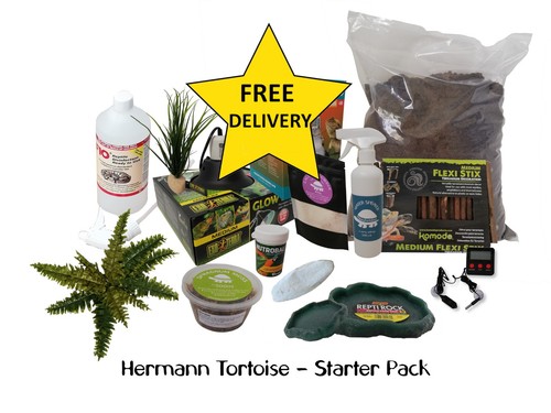 Hermann tortoise starter kit - hermann,