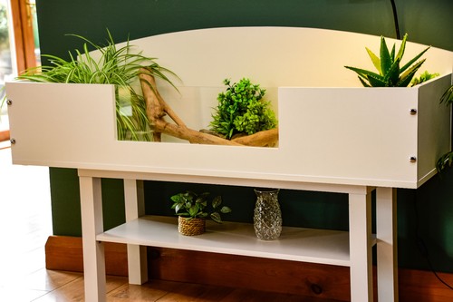 4ft open top - tortoise, +